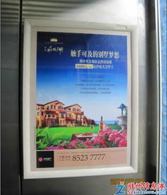 新城區(qū)電梯廣告與小區(qū)主入口燈箱廣告招商公告